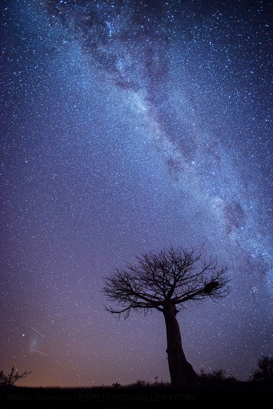 Starry night - Copyright © Rikki Swenson